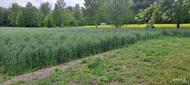 Działka budowlana Podrogów gm. Sokołów Podlaski