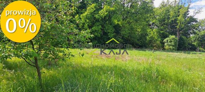 Dom blisko lasu, rzeki - Dobrzęcin