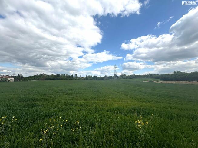 Działka budowlana Kolonia Pliszczyn gm. Wólka