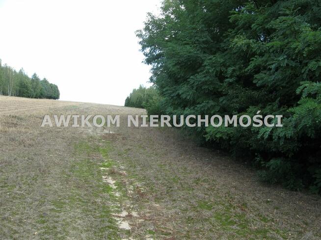 Działka rolna Esterka gm. Nowy Kawęczyn