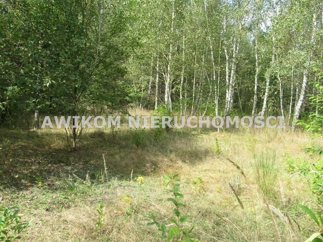 Działka rolna Esterka gm. Nowy Kawęczyn