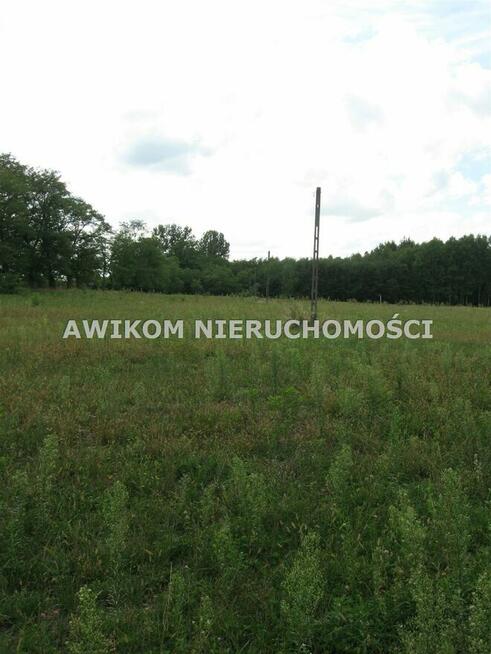 Działka rolna Esterka gm. Nowy Kawęczyn