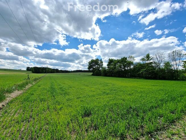 Działka w Borsukach 0,48 ha nieopodal rzeki Bug