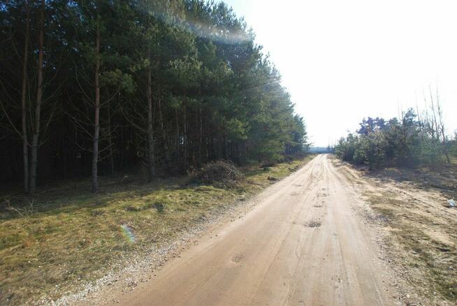 Działka budowlana Daleszyce Niwy