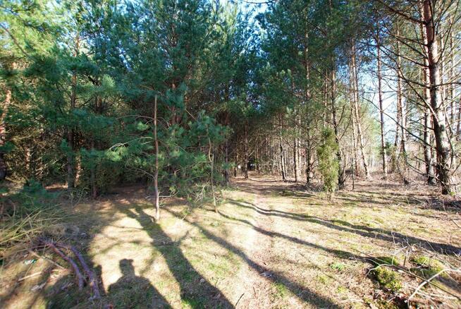 Działka budowlana Daleszyce Niwy