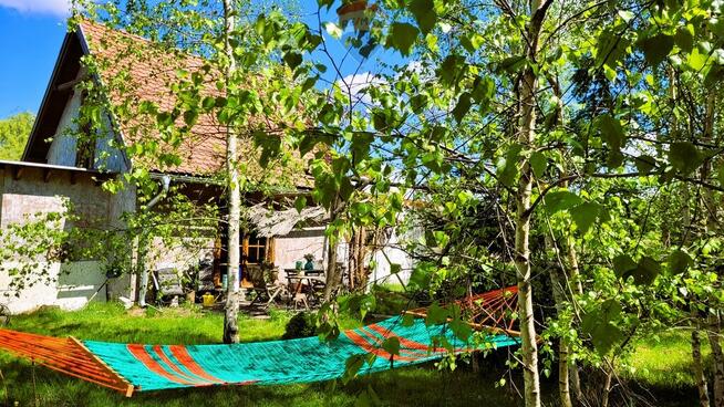 Przytulna leśniczówka na łące za lasem k/Czarnkowa