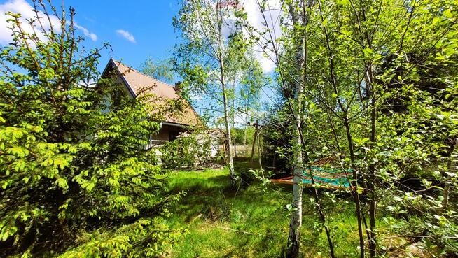 Przytulna leśniczówka na łące za lasem k/Czarnkowa