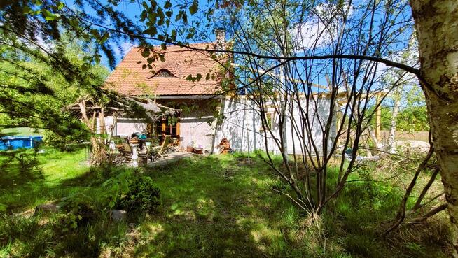 Przytulna leśniczówka na łące za lasem k/Czarnkowa