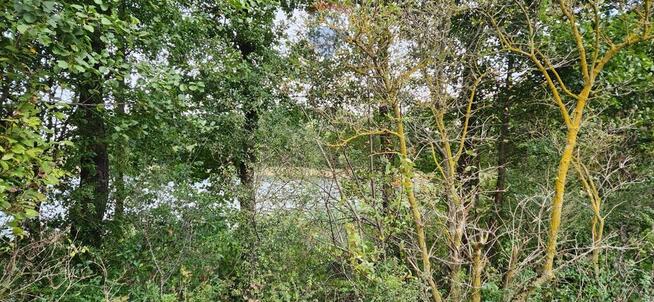 Działka budowlana z linią brzegową, Skolity