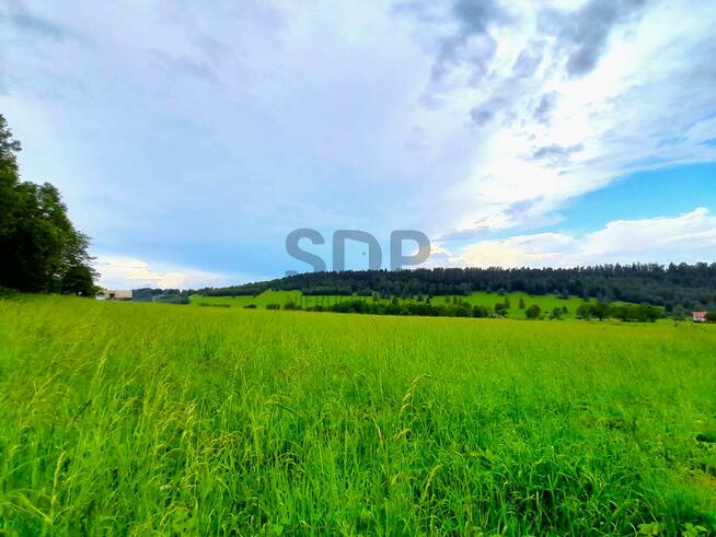 Działka budowlana Czarna Góra gm. Stronie Śląskie