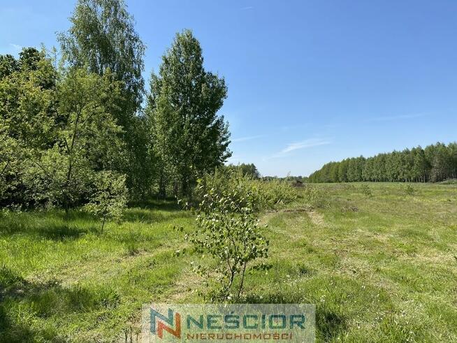 Sprzedaż działek budowlanych – Przywory Duże