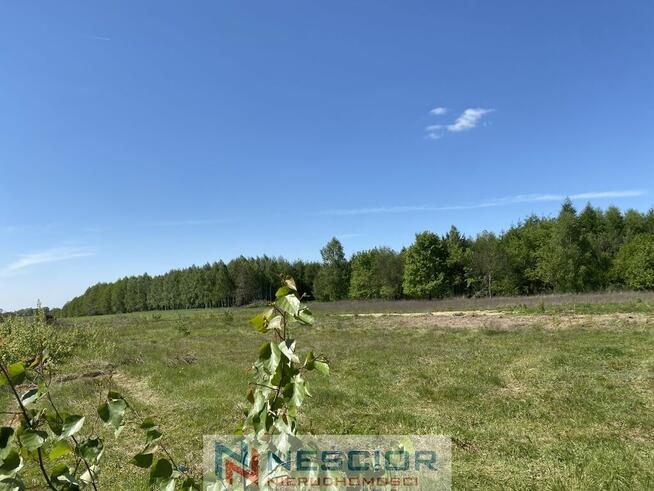 Sprzedaż działek budowlanych – Przywory Duże