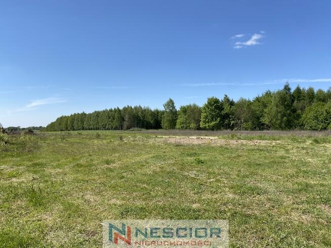 Sprzedaż działek budowlanych – Przywory Duże