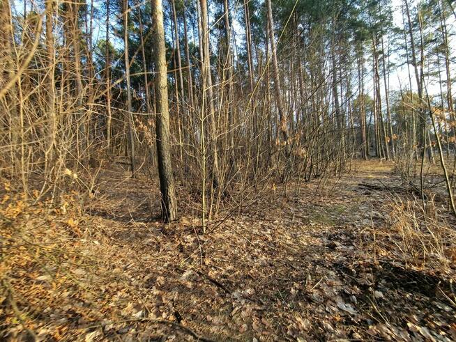 Syndyk sprzeda nieruchomość w miejscowości Klucze