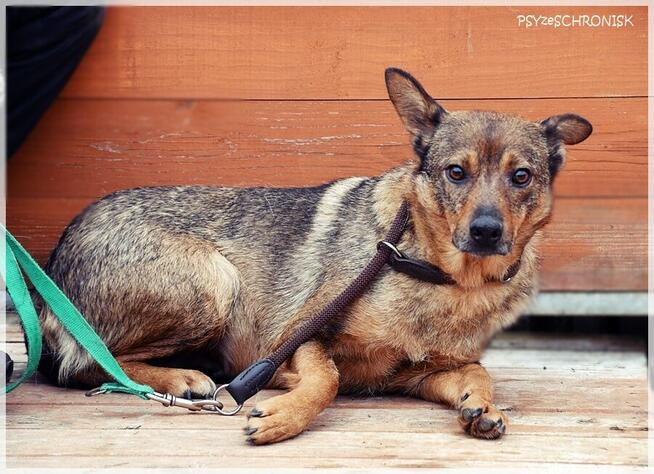 Etna – ma gorące serce i stara się jak może. Pomożesz?