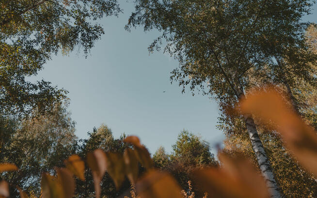 Działka budowlana w zielonej okolicy | 30 minut od Warszawy