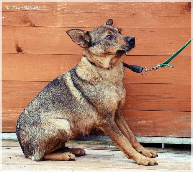 Etna – ma gorące serce i stara się jak może. Pomożesz?
