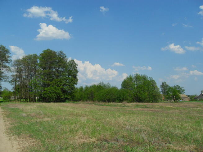 Tanio sprzedam gospodarstwo rolne