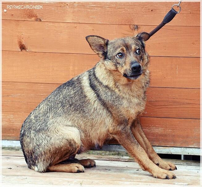 Etna – ma gorące serce i stara się jak może. Pomożesz?