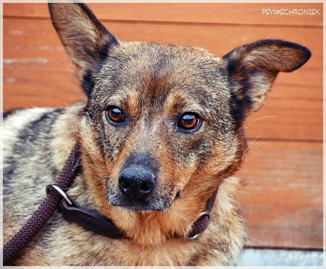 Etna – ma gorące serce i stara się jak może. Pomożesz?
