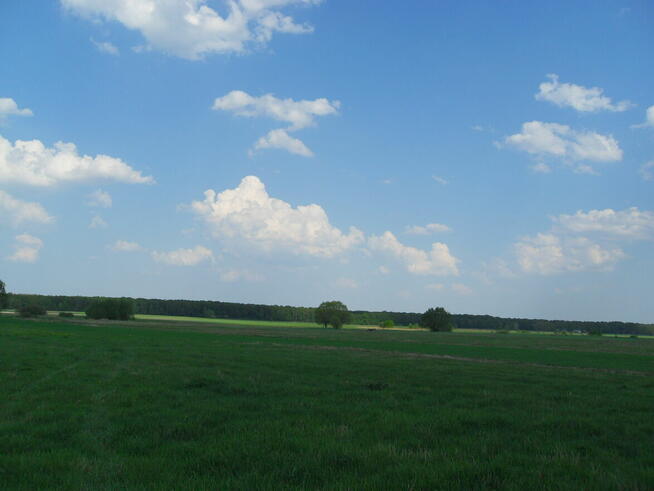 Tanio sprzedam gospodarstwo rolne