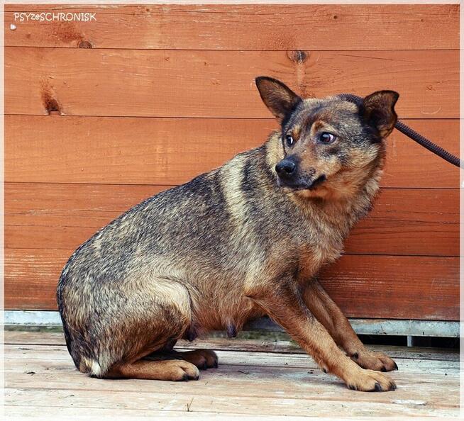 Etna – ma gorące serce i stara się jak może. Pomożesz?