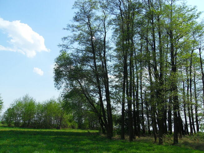 Tanio sprzedam gospodarstwo rolne