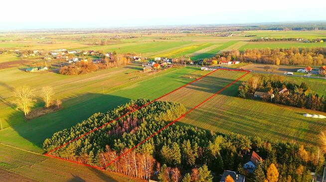 Okolice Ślesina – Działki Budowlane z Warunkami zabudowy