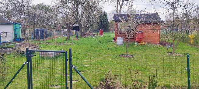 Działka ROD 300m2