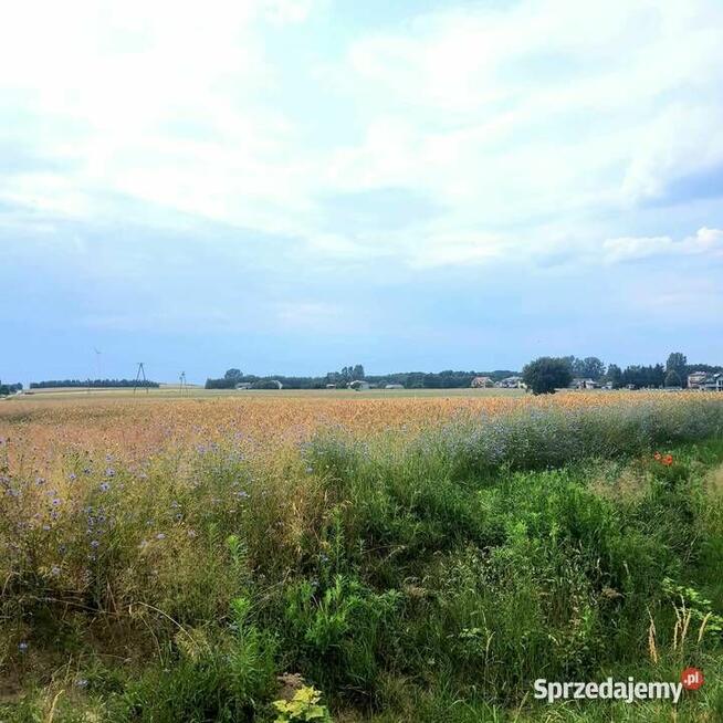 Działka budowlano-rolna uzbrojona pow. 4403m2