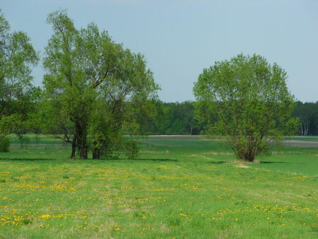 Tanio sprzedam gospodarstwo rolne