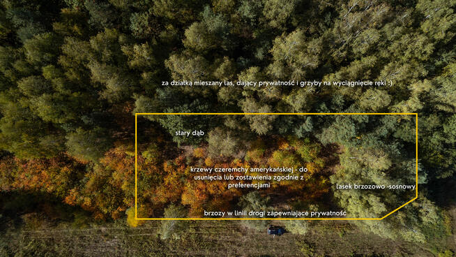 Działka budowlana w zielonej okolicy | 30 minut od Warszawy