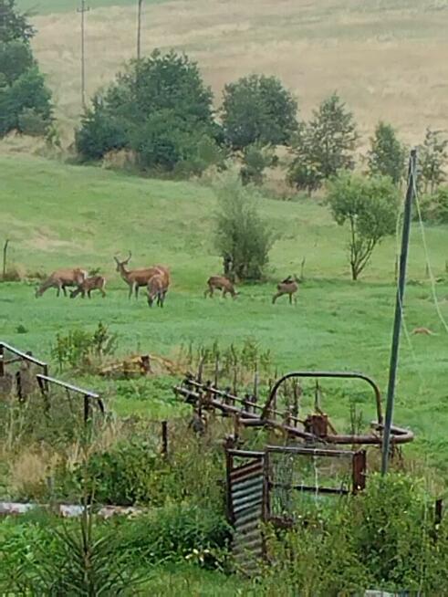 Agroturystyka, noclegi Bieszczady