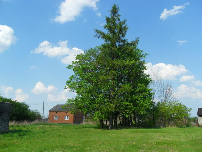 Tanio sprzedam gospodarstwo rolne