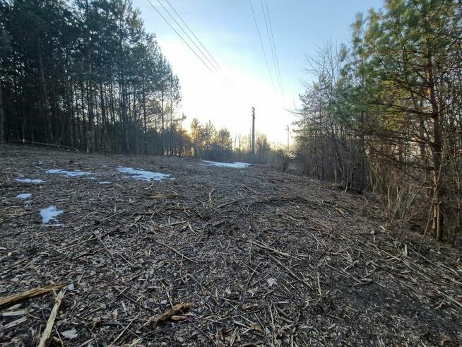 Syndyk sprzeda nieruchomość w miejscowości Klucze