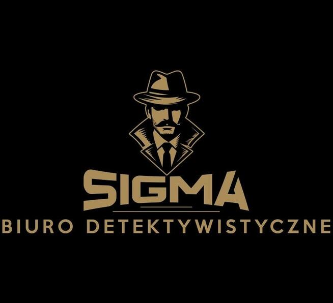 Profesjonalne Usługi Detektywistyczne