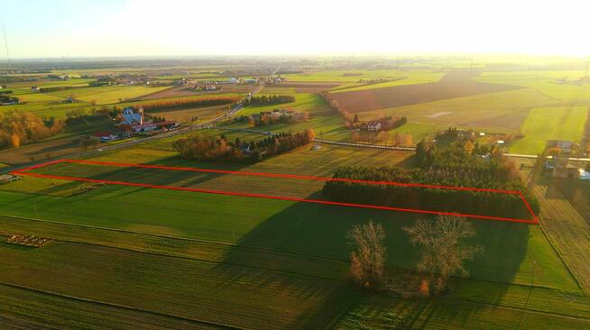 Okolice Ślesina – Działki Budowlane z Warunkami zabudowy