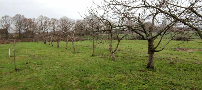 Starkowo - Ustka 4 działki budowlane plus dom