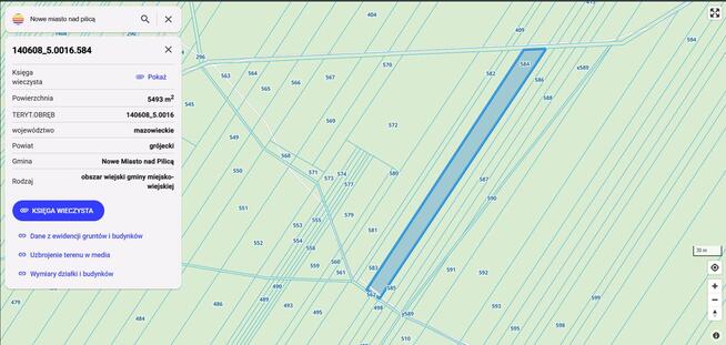 70-letni las sosnowy 5,6 ha woj. Mazowieckie
