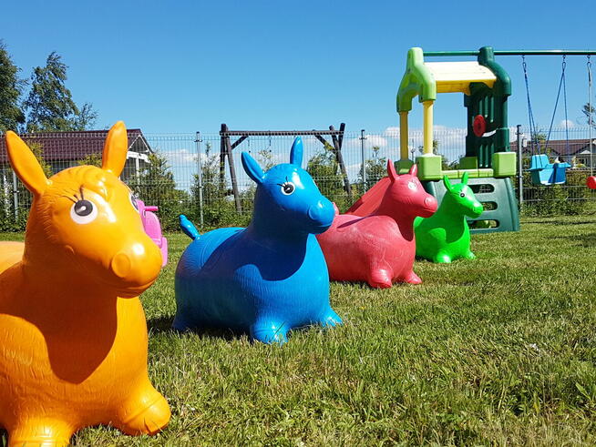 Przytulne domki nad morzem , przy lesie .