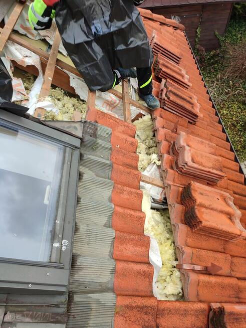 Ocieplanie celulozą i naprawa izolacji po kunie