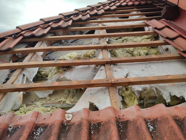 Ocieplanie celulozą i naprawa izolacji po kunie