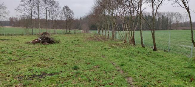 Starkowo - Ustka 4 działki budowlane plus dom