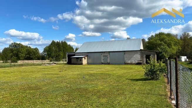 Siedlisko z potencjałem - na zadrzewionej działce