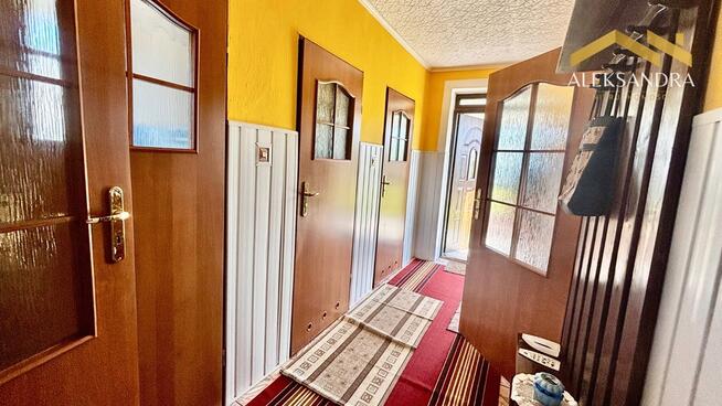 Siedlisko z potencjałem - na zadrzewionej działce