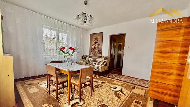 Siedlisko z potencjałem - na zadrzewionej działce