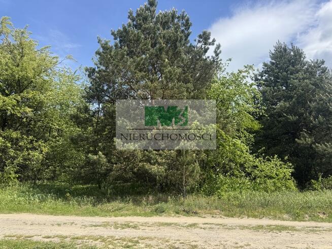 NA SPRZEDAŻ DZIAŁKA W SARZYNIE