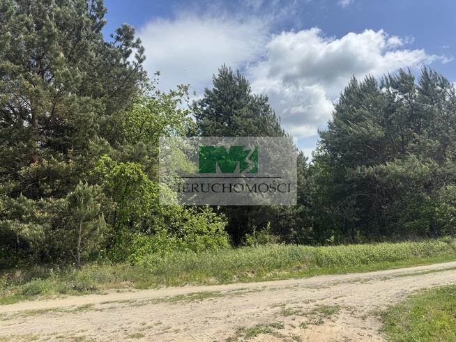 NA SPRZEDAŻ DZIAŁKA W SARZYNIE