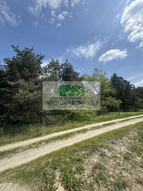 NA SPRZEDAŻ DZIAŁKA W SARZYNIE