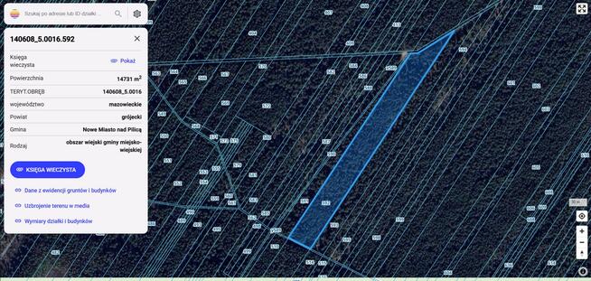 70-letni las sosnowy 5,6 ha woj. Mazowieckie
